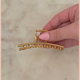 Metal Claw Clip