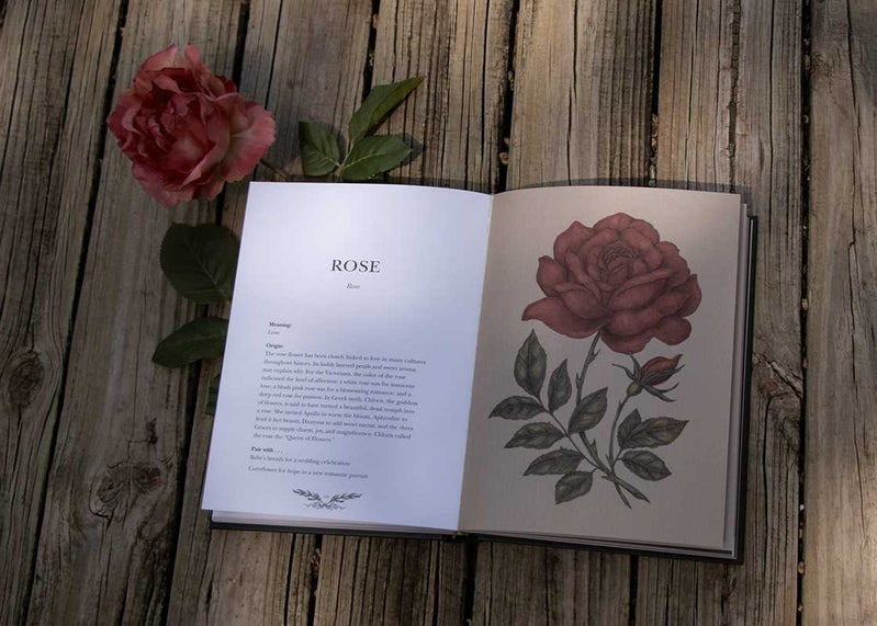 Illustrated Floriography Guide