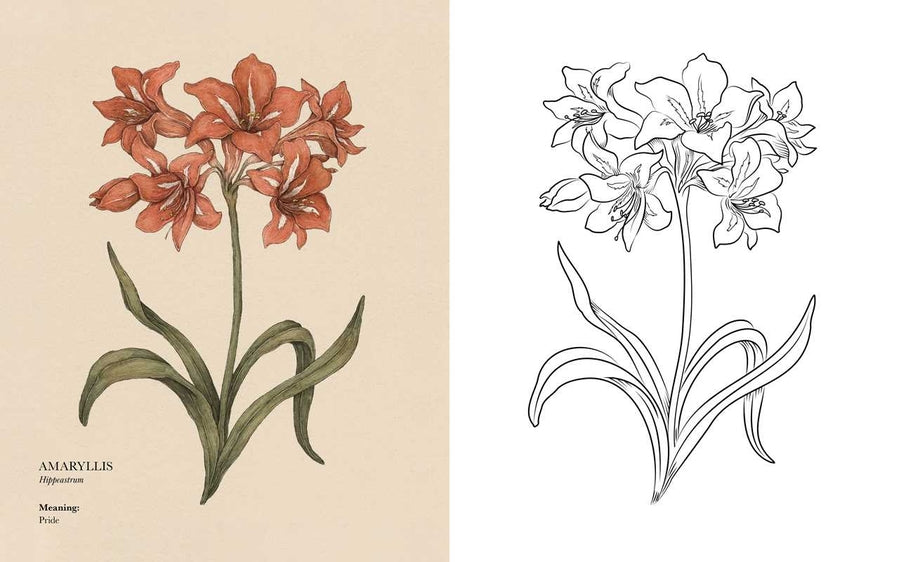 Floriography Coloring Book