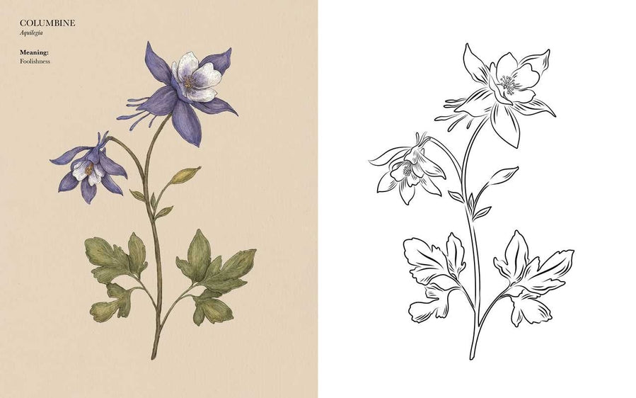 Floriography Coloring Book | Columbine