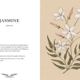 Illustrated Floriography Guide