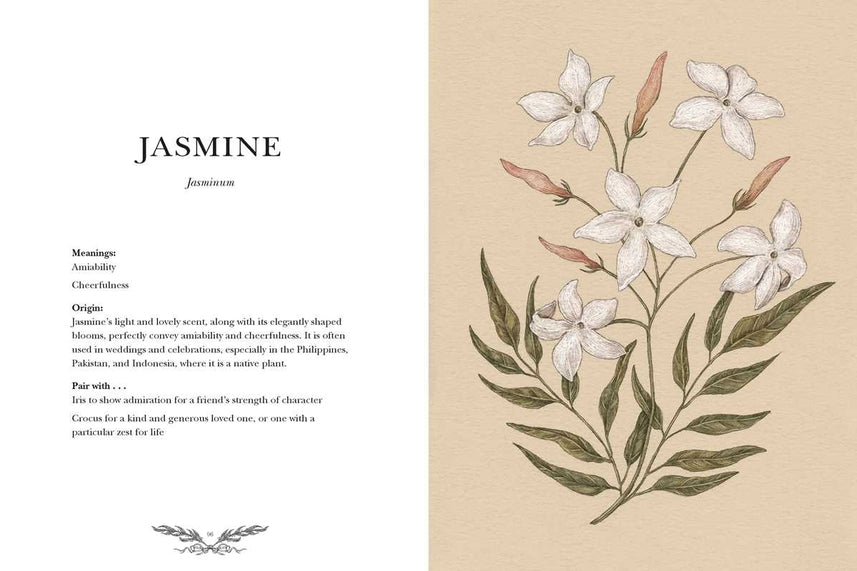 Illustrated Floriography Guide