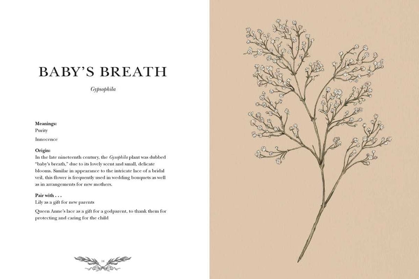 Illustrated Floriography Guide