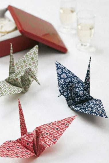 Japanese Origami Instruction Book