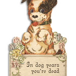 In Dog Years You're Dead | Greeting Card