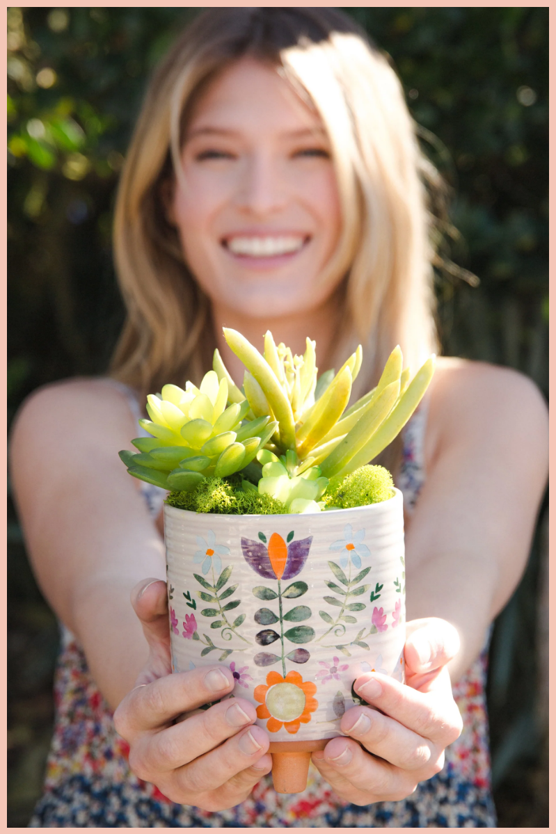 Artisan Terracotta Indoor Planter | Natural Life