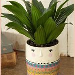 Folk Lady Friend Planter | Natural Life