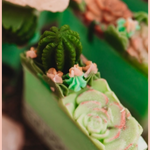 Succulent Garden Body Soap | 4.75oz