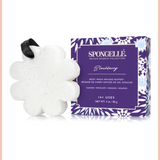 Private Reserve Collection Infused Buffer | Spongellé