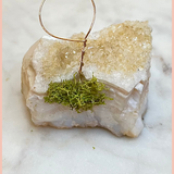 Citrine Crystal + Airplant Holder