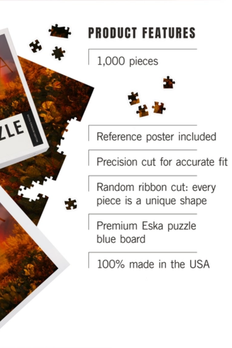 1000 Piece Puzzle | Arizona Cactus + Rainbow Photography
