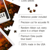 1000 Piece Puzzle | Arizona Cactus + Rainbow Photography