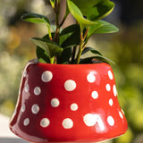 So Cute Ceramic Planter | Natural Life | Mushroom