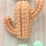 Pink Cactus Soap | Citrus + Teakwood