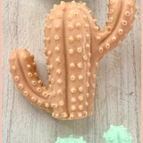Pink Cactus Soap | Citrus + Teakwood