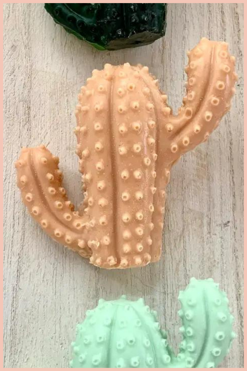 PINK CACTUS SOAP | CITRUS + TEAKWOOD