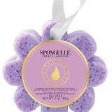 Wild Flower Infused Buffer | Spongellé | French Lavender Top: Hesperides | Middle: Tea Rose, Amber | Base: Lavender Tea, Spicy, Woody