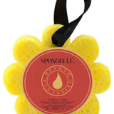 Wild Flower Infused Buffer | Spongellé | Papaya Yuzu Top: Mélange of fruity notes | Middle: Floral notes of Cyclamen and Bois de Rose | Bottom: Sweet Sugary Caramel