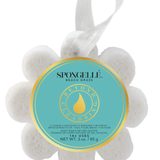 Wild Flower Infused Buffer | Spongellé | Beach Grass Top: Spicy, Fruity, Green | Middle: Jasmine, Rose, Powdery | Base: Aquatic, Woody, Musk