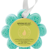 Wild Flower Infused Buffer | Spongellé | Coconut Verbena Top: Coconut, Peach | Middle: Jasmine, Floral | Base: Amber, Lemon