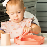 Silicone Suction Plate