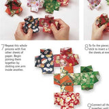 Japanese Origami Instruction Book