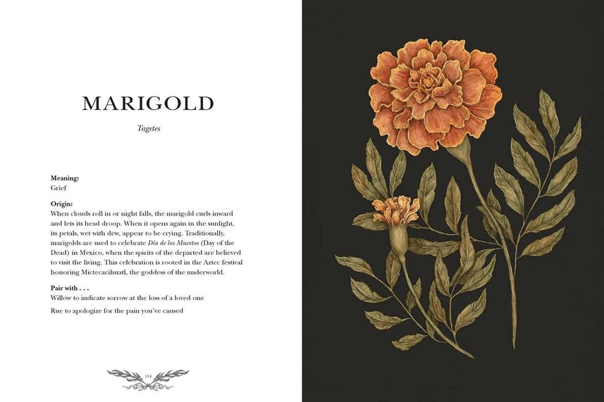 Illustrated Floriography Guide