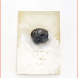 Dark Moon Soap w/ Black Agate Inside
