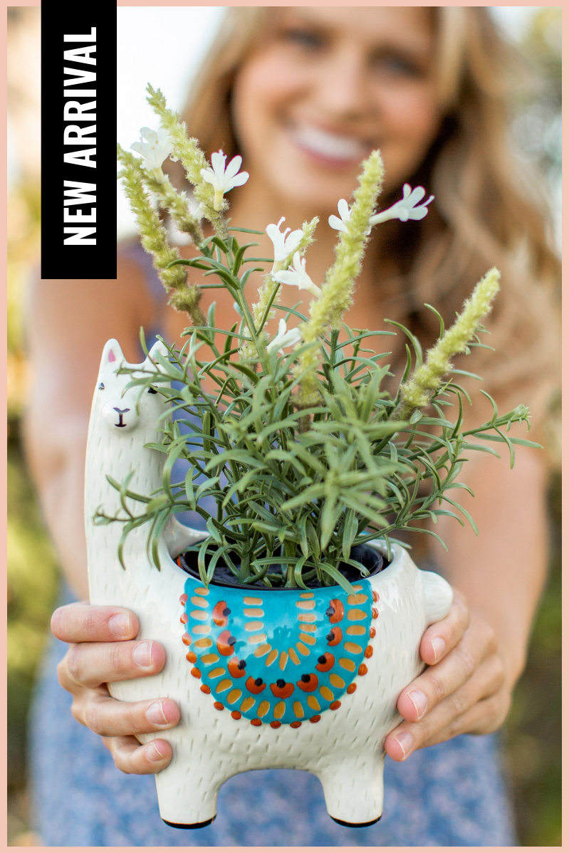 natural clay plant pots Natural Life : Llama Planter