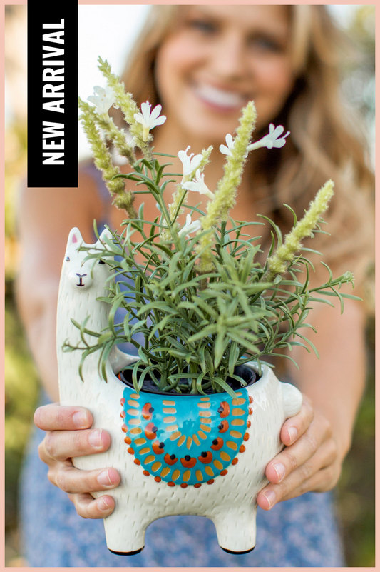 Lesli The Llama Ceramic Planter | Natural Life