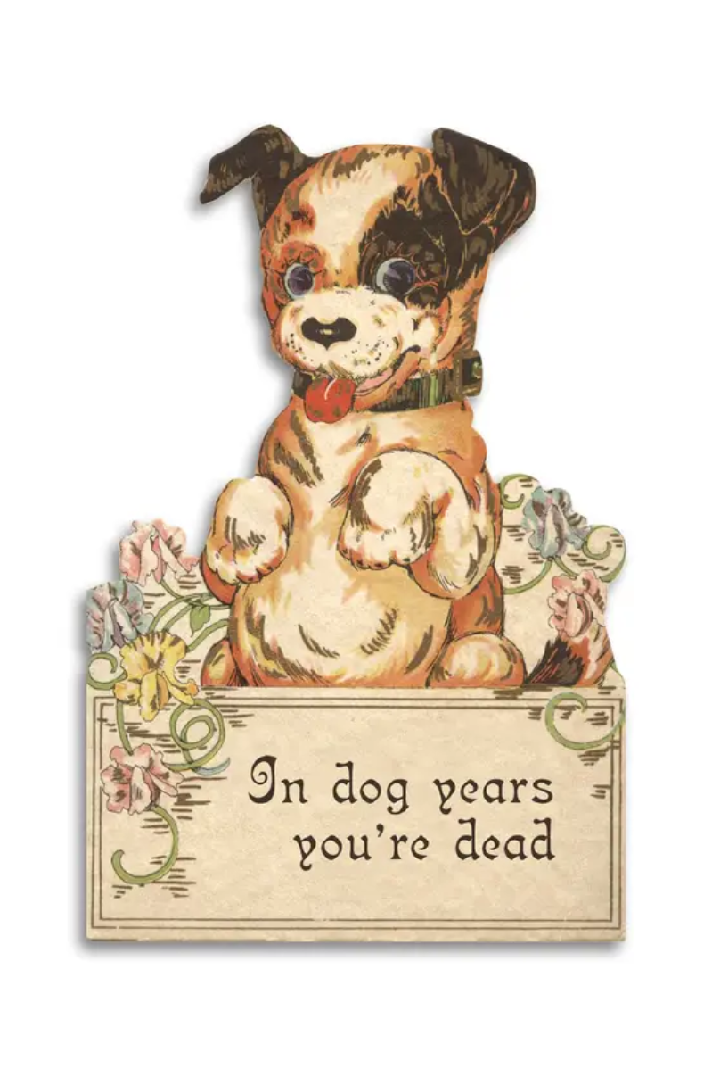 In Dog Years You're Dead | Greeting Card