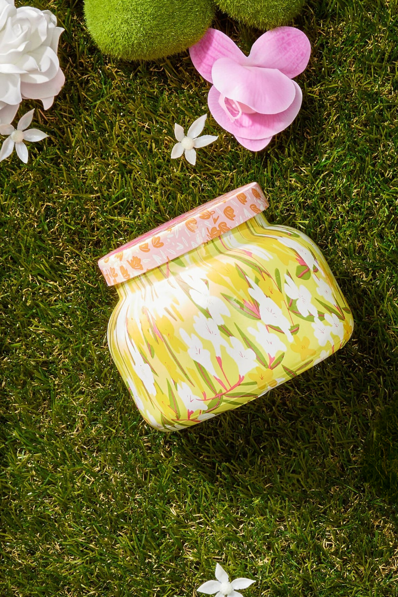 Pattern Play Candle | Aloha Orchid