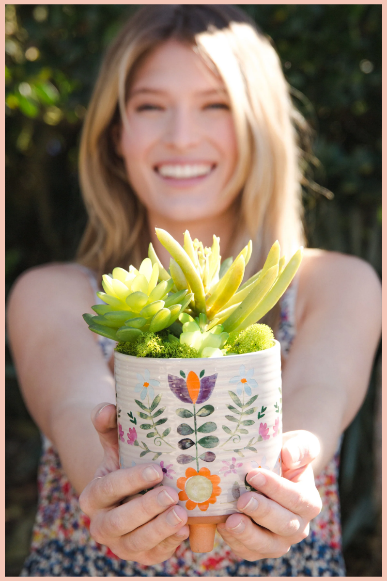 Artisan Terracotta Indoor Planter | Natural Life