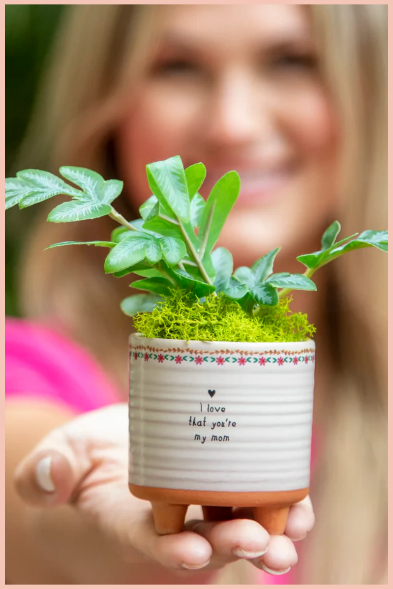 small potted plants for gifts Mini Artisan Planter