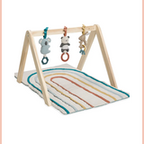 Ritzy Activity Wooden Gym Toy | Itzy Ritzy