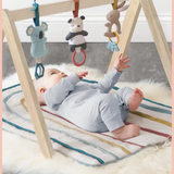 Ritzy Activity Wooden Gym Toy | Itzy Ritzy