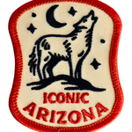 Coyote Howling at the night sky