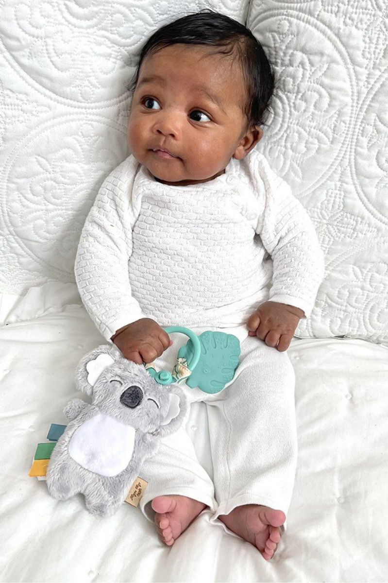 Itzy Pal™ Plush Infant Toy | Itzy Ritzy