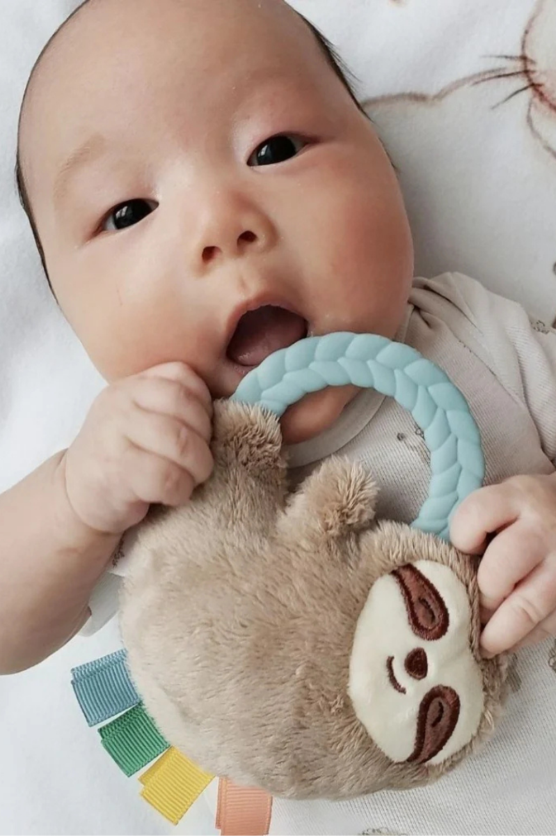 Ritzy Rattle Pal™ Plush Rattle w/ Teether | Itzy Ritzy