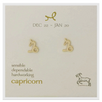 Zodiac Symbol Post Earrings | Capricorn