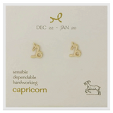 Zodiac Symbol Post Earrings | Capricorn