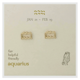 Zodiac Symbol Post Earrings | Aquarius