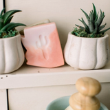 Arizona Bar Soap | Cactus Flower
