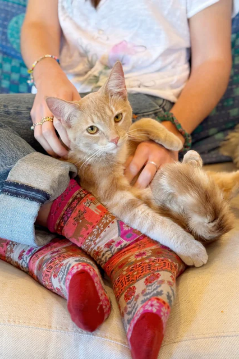 Person sitting on a couch wearing colorful socks with a cat on their lap.