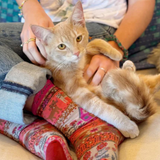 Person sitting on a couch wearing colorful socks with a cat on their lap.