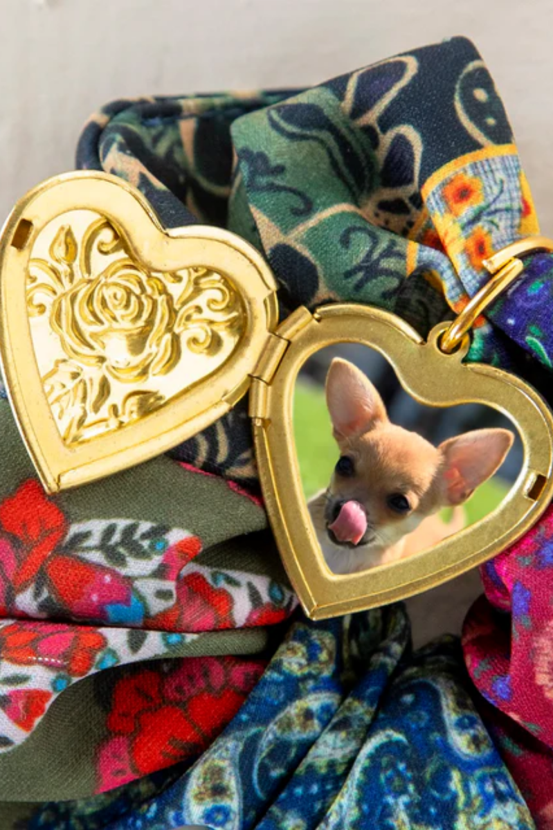 Heart-shaped locket with a dog's reflection on a colorful fabric background