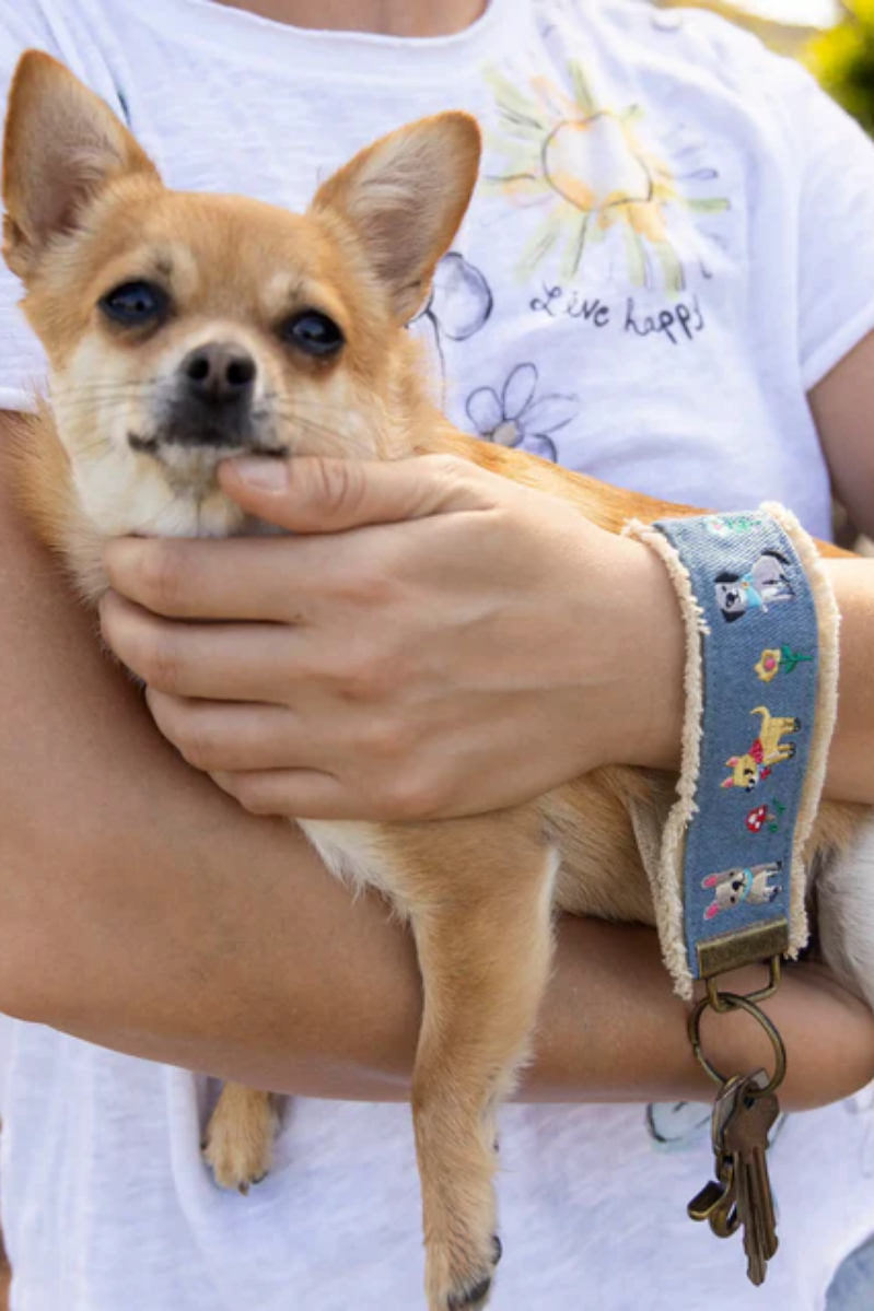 Small dog being held by a person wearing a white t-shirt with a sun design.