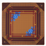 Decorative Mahjong mat with floral patterns, houndstooth and gold accents on a white background. Palomino Mat in Tube | Oh My Mahjong