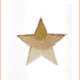 Star Enameled Brooch | Silver/Mustard