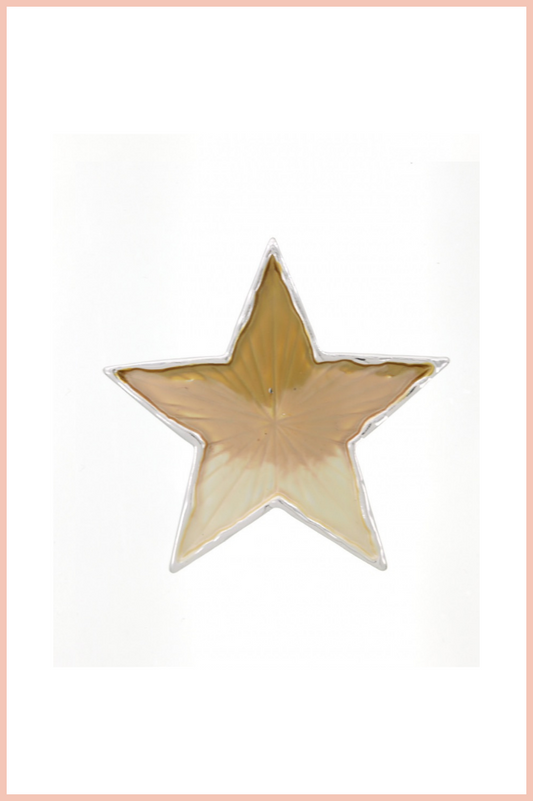 Star Enameled Brooch | Silver/Mustard